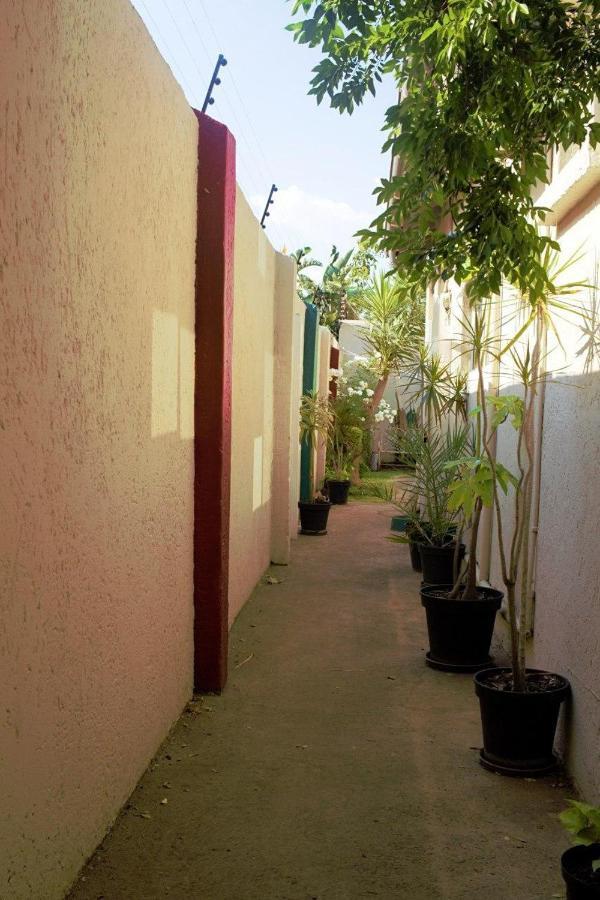 Houghton Guest House Johannesburg Bagian luar foto